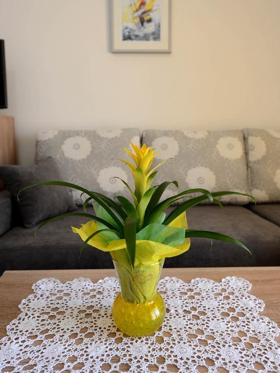 Apartament Adriana *